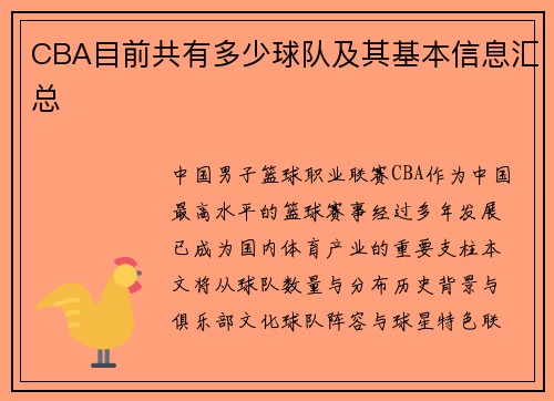 CBA目前共有多少球队及其基本信息汇总