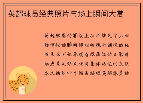 英超球员经典照片与场上瞬间大赏